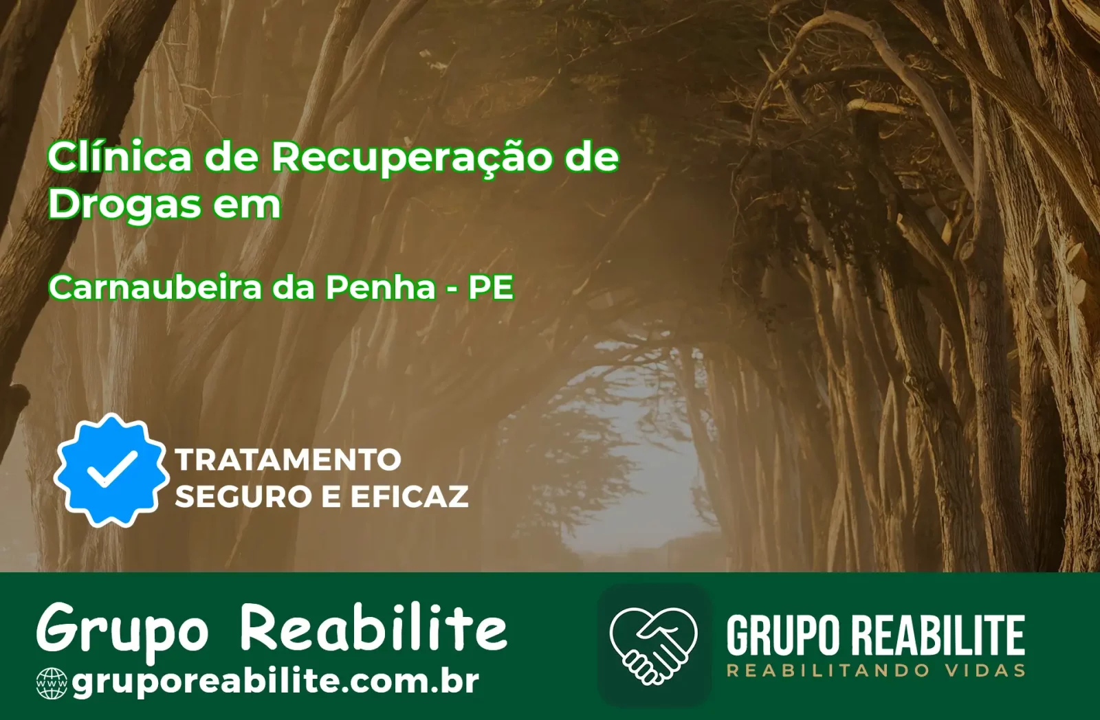 🚨 Clínica de Recuperação de Drogas em Carnaubeira da Penha - PE