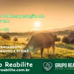 🚨 Clínica de Recuperação de Drogas em Caroebe - RR