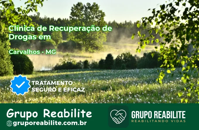 🚨 Clínica de Recuperação de Drogas em Carvalhos - MG