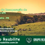 🚨 Clínica de Recuperação de Drogas em Catingueira - PB