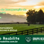 🚨 Clínica de Recuperação de Drogas em Catu - BA