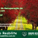 🚨 Clínica de Recuperação de Drogas em Cedral - SP