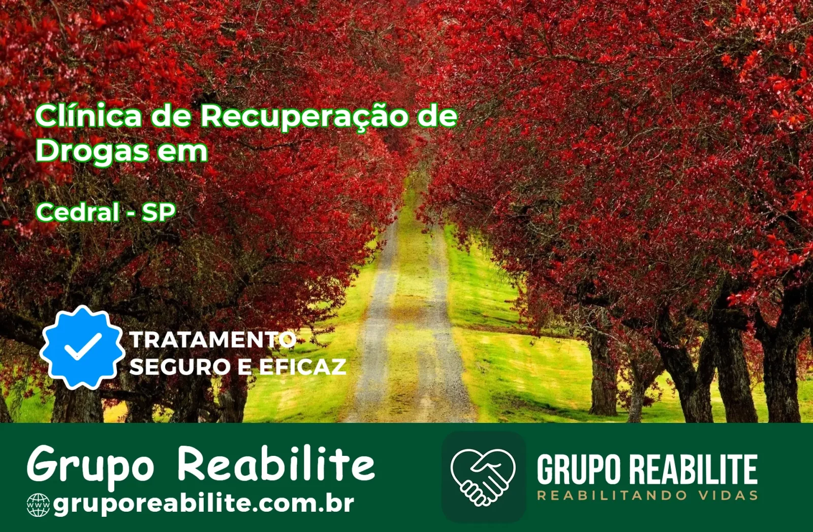 🚨 Clínica de Recuperação de Drogas em Cedral - SP