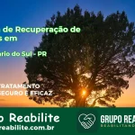 🚨 Clínica de Recuperação de Drogas em Centenário do Sul - PR