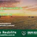 🚨 Clínica de Recuperação de Drogas em Chapadão do Sul - MS