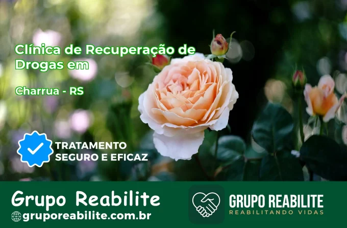 🚨 Clínica de Recuperação de Drogas em Charrua - RS