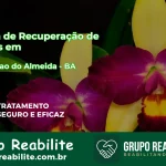 🚨 Clínica de Recuperação de Drogas em Conceição do Almeida - BA
