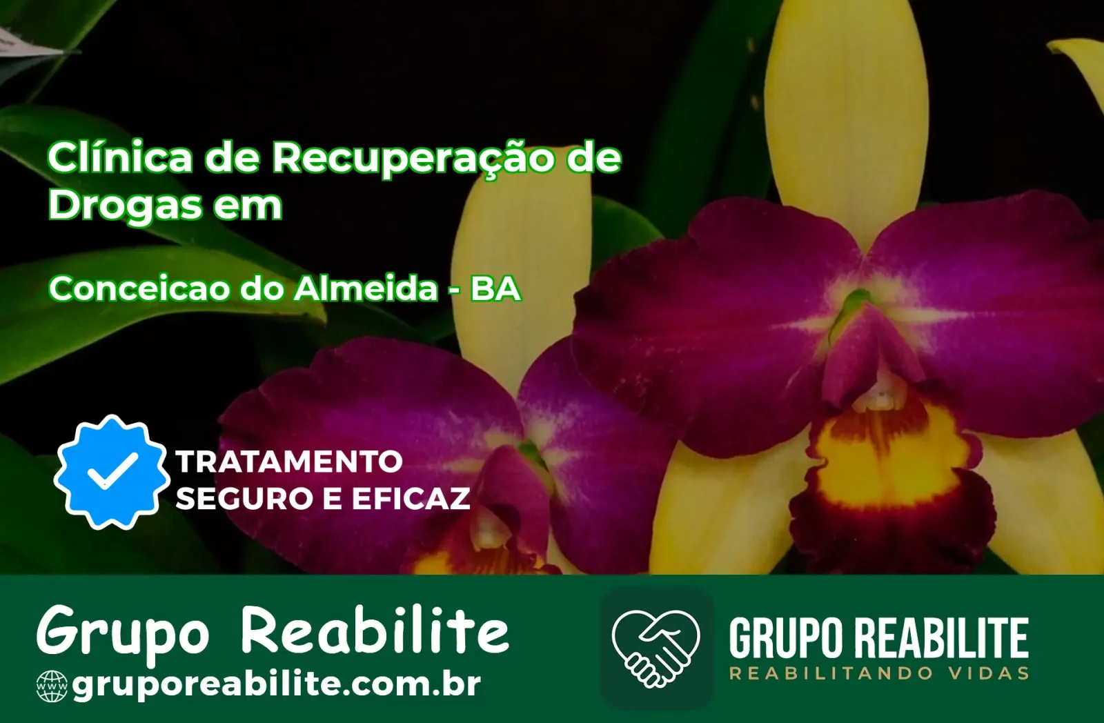 🚨 Clínica de Recuperação de Drogas em Conceição do Almeida - BA