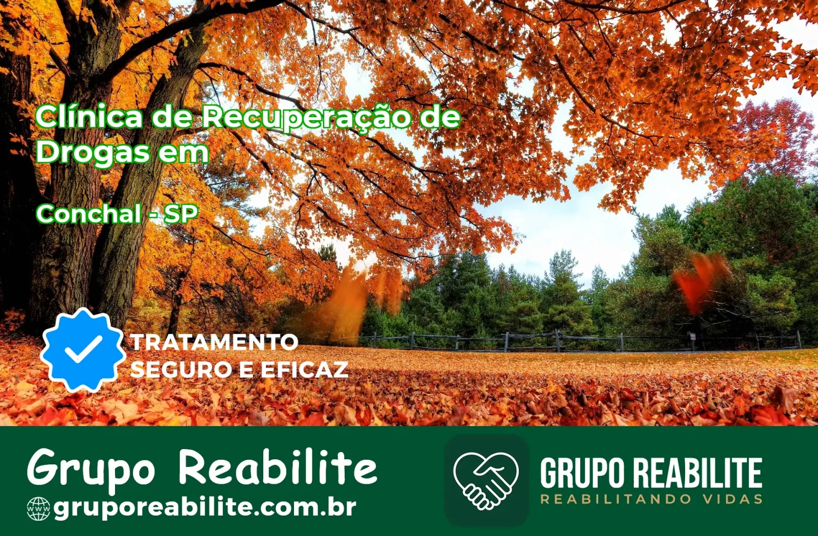 🚨 Clínica de Recuperação de Drogas em Conchal - SP