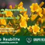 🚨 Clínica de Recuperação de Drogas em Conselheiro Lafaiete - MG