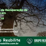 🚨 Clínica de Recuperação de Drogas em Coreaú - CE