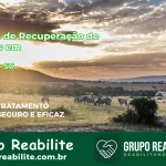 🚨 Clínica de Recuperação de Drogas em Corupá - SC