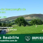 🚨 Clínica de Recuperação de Drogas em Cristalina - GO