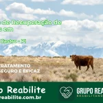 🚨 Clínica de Recuperação de Drogas em Cristino Castro - PI