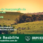 🚨 Clínica de Recuperação de Drogas em Cubati - PB