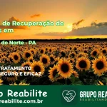 🚨 Clínica de Recuperação de Drogas em Cumaru do Norte - PA