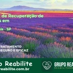 🚨 Clínica de Recuperação de Drogas em Dirce Reis - SP