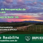 🚨 Clínica de Recuperação de Drogas em Dois Irmãos do Buriti - MS