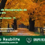 🚨 Clínica de Recuperação de Drogas em Domingos Mourão - PI