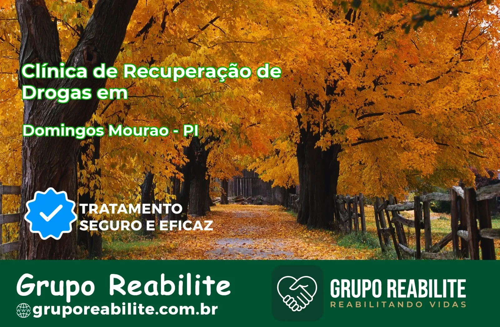 🚨 Clínica de Recuperação de Drogas em Domingos Mourão - PI