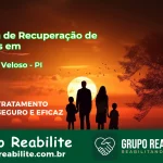 🚨 Clínica de Recuperação de Drogas em Elesbão Veloso - PI