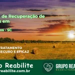 🚨 Clínica de Recuperação de Drogas em Entre Rios - SC