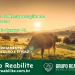 🚨 Clínica de Recuperação de Drogas em Estrela de Alagoas - AL