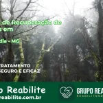 🚨 Clínica de Recuperação de Drogas em Felixlândia - MG