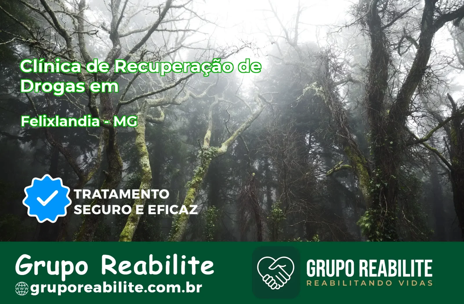 🚨 Clínica de Recuperação de Drogas em Felixlândia - MG