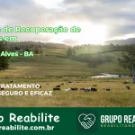 🚨 Clínica de Recuperação de Drogas em Firmino Alves - BA