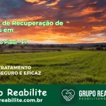 🚨 Clínica de Recuperação de Drogas em Flores do Piauí - PI
