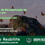 🚨 Clínica de Recuperação de Drogas em Francisco Dumont - MG