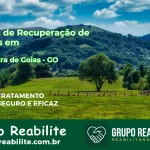 🚨 Clínica de Recuperação de Drogas em Gameleira de Goiás - GO