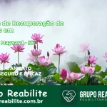 🚨 Clínica de Recuperação de Drogas em General Maynard - SE