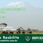 🚨 Clínica de Recuperação de Drogas em Goianira - GO