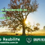 🚨 Clínica de Recuperação de Drogas em Gouvelândia - GO