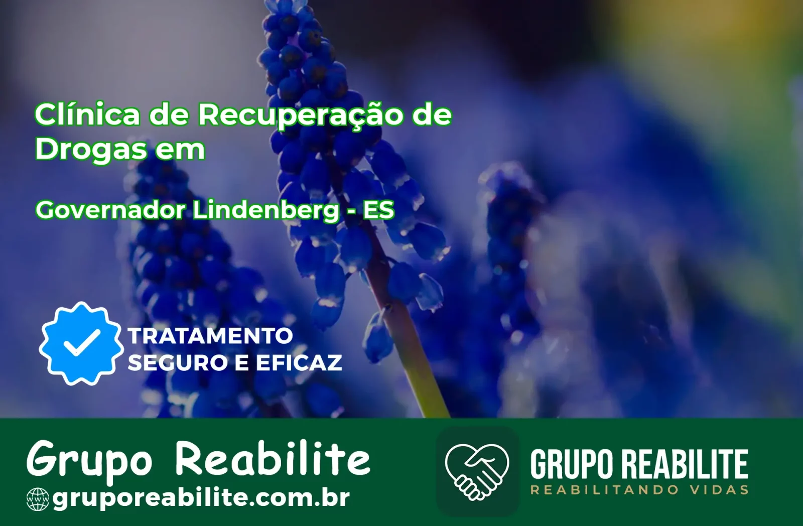 🚨 Clínica de Recuperação de Drogas em Governador Lindenberg - ES