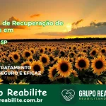 🚨 Clínica de Recuperação de Drogas em Guareí - SP