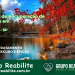 🚨 Clínica de Recuperação de Drogas em Guariba - SP
