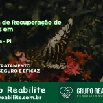 🚨 Clínica de Recuperação de Drogas em Guaribas - PI