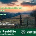 🚨 Clínica de Recuperação de Drogas em Ibipitanga - BA