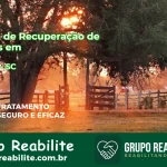 🚨 Clínica de Recuperação de Drogas em Ibirama - SC