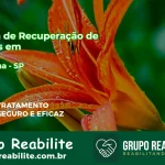 🚨 Clínica de Recuperação de Drogas em Ibirarema - SP
