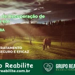 🚨 Clínica de Recuperação de Drogas em Ibititá - BA