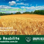 🚨 Clínica de Recuperação de Drogas em Ichu - BA