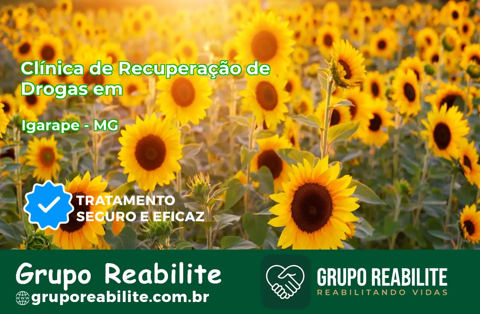🚨 Clínica de Recuperação de Drogas em Igarapé - MG