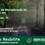 🚨 Clínica de Recuperação de Drogas em Ilha Grande - PI