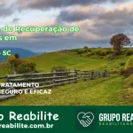 🚨 Clínica de Recuperação de Drogas em Iomerê - SC