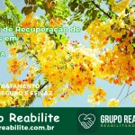 🚨 Clínica de Recuperação de Drogas em Ipiaú - BA