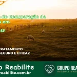 🚨 Clínica de Recuperação de Drogas em Itapira - SP